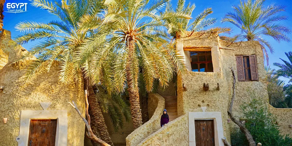 Siwa Town