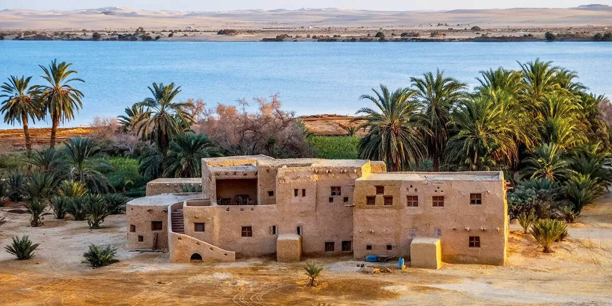Palm-Grove Eco-Lodges