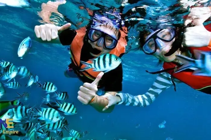 Red Sea Snorkeling & Diving