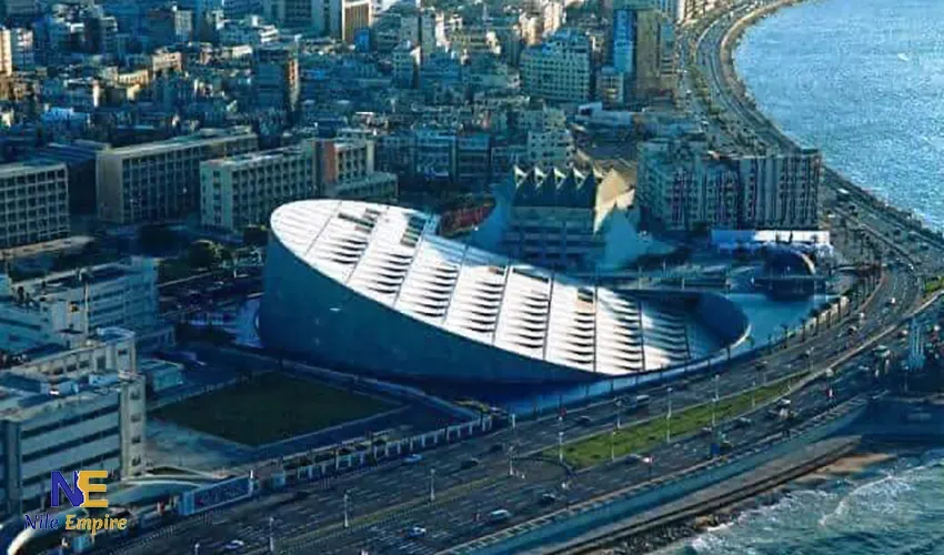 Alexandria Day Tour from Cairo: Mediterranean Visit