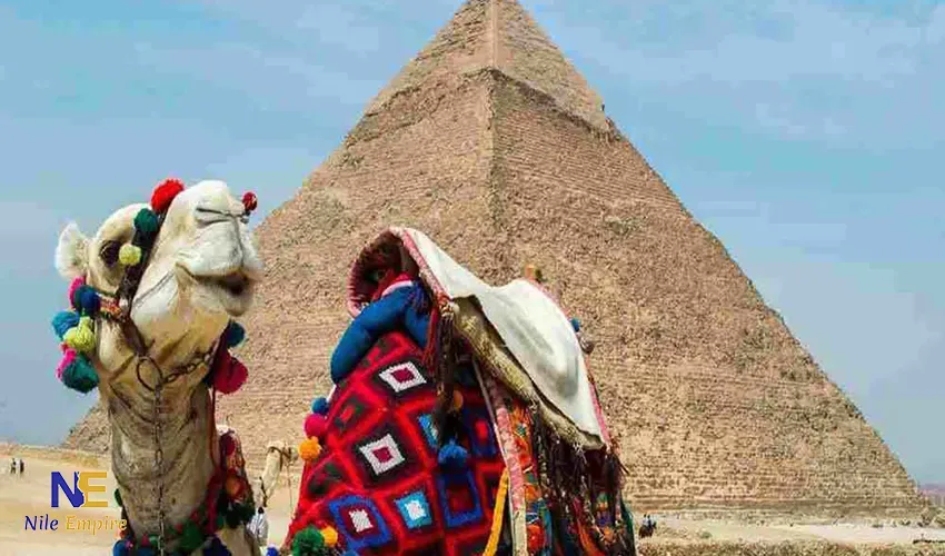 Egypt Christmas Holiday Packages — 1