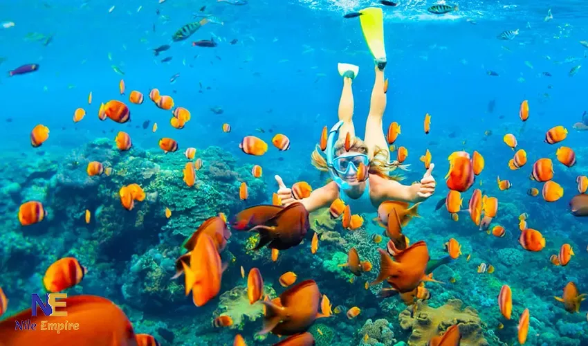 Hurghada Giftun Island Snorkeling Tour