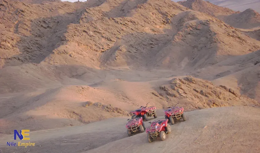 Desert Safari