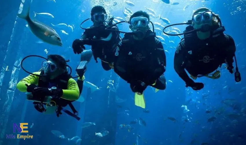 Hurghada Scuba Diving Day Trip