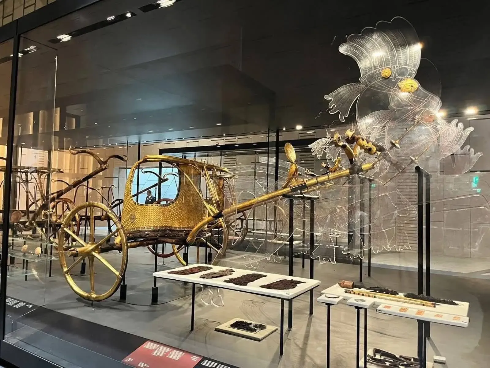 Carro dorado de Tutankamón en una vitrina, con siluetas transparentes de caballos y restos de arneses expuestos delante