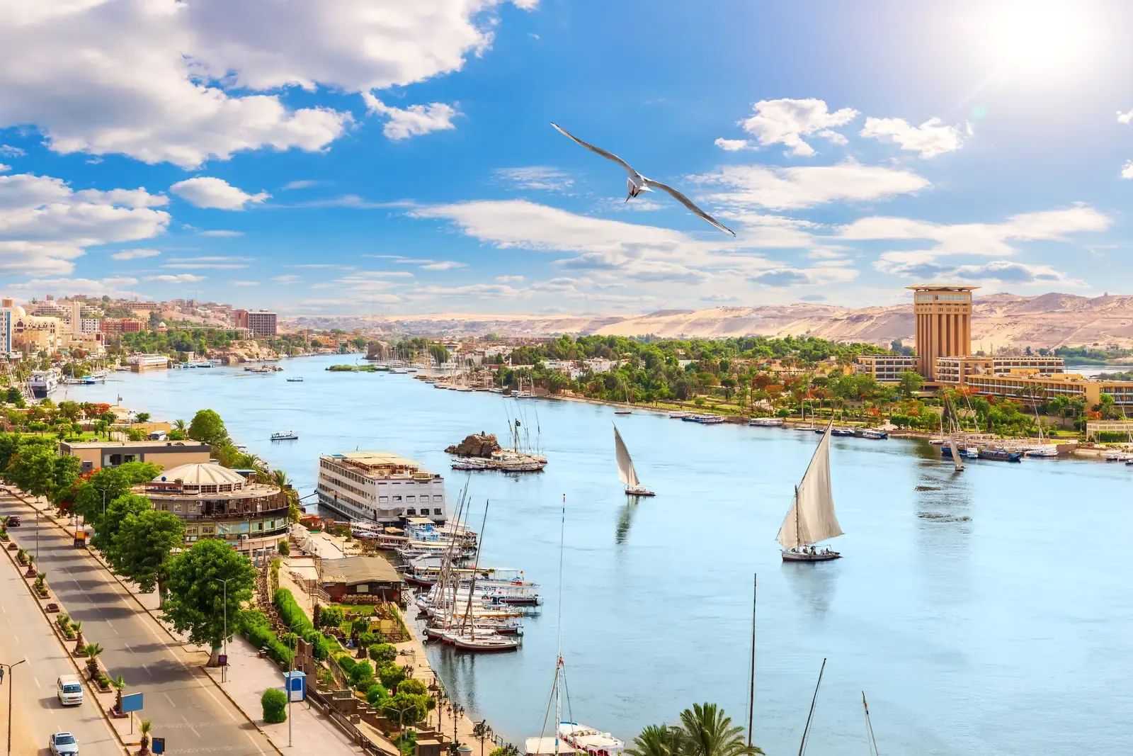 Aswan Day Tours