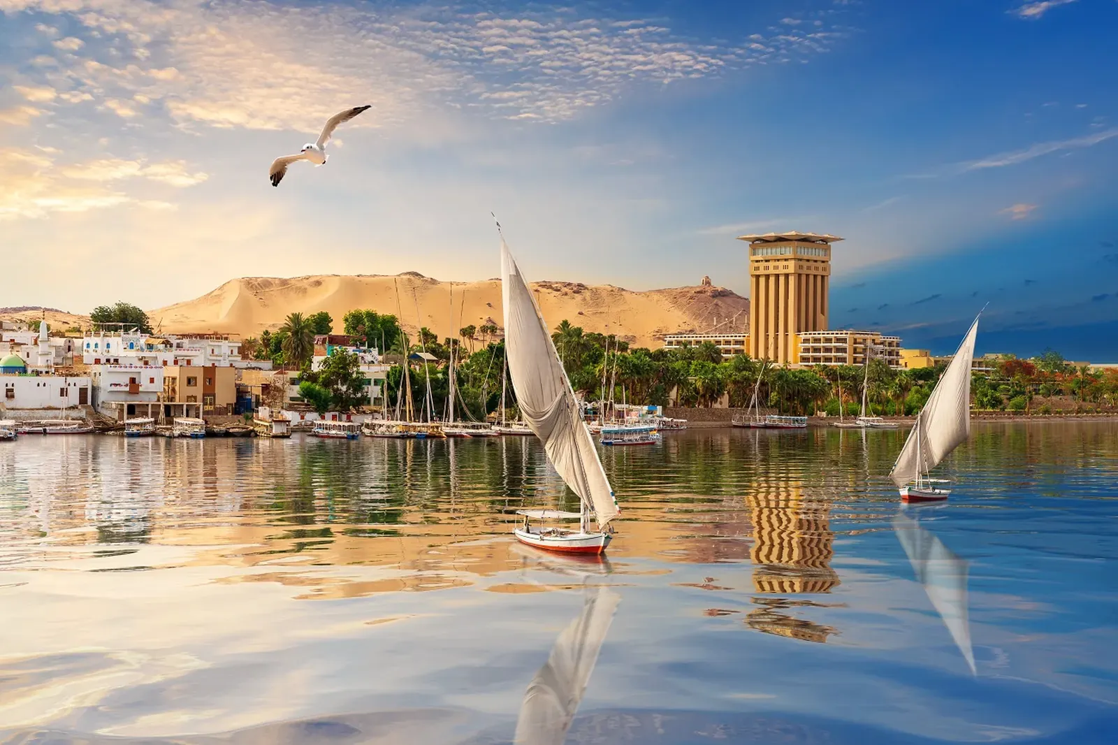 8 Days Cairo, Aswan, Luxor & Hurghada Tour