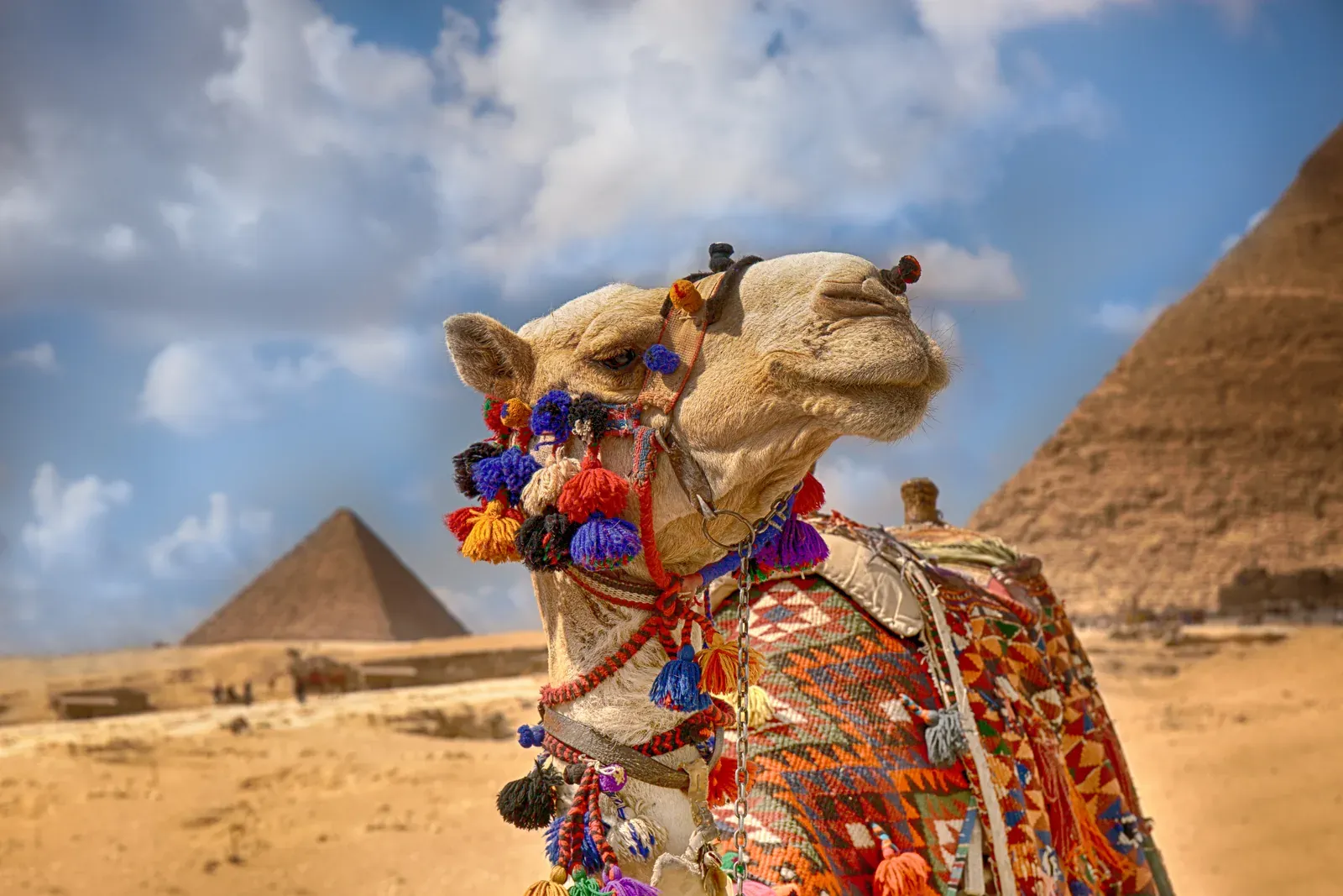 8-Day Egypt Family Tour: Cairo & Nile Cruise