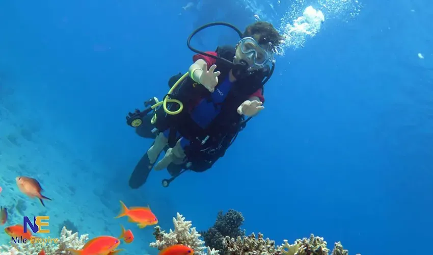 Ras Mohammed Scuba Diving Trip