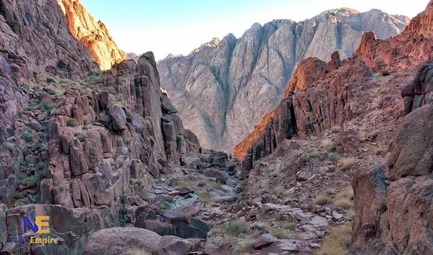 Saint Katherine Protectorate Trails